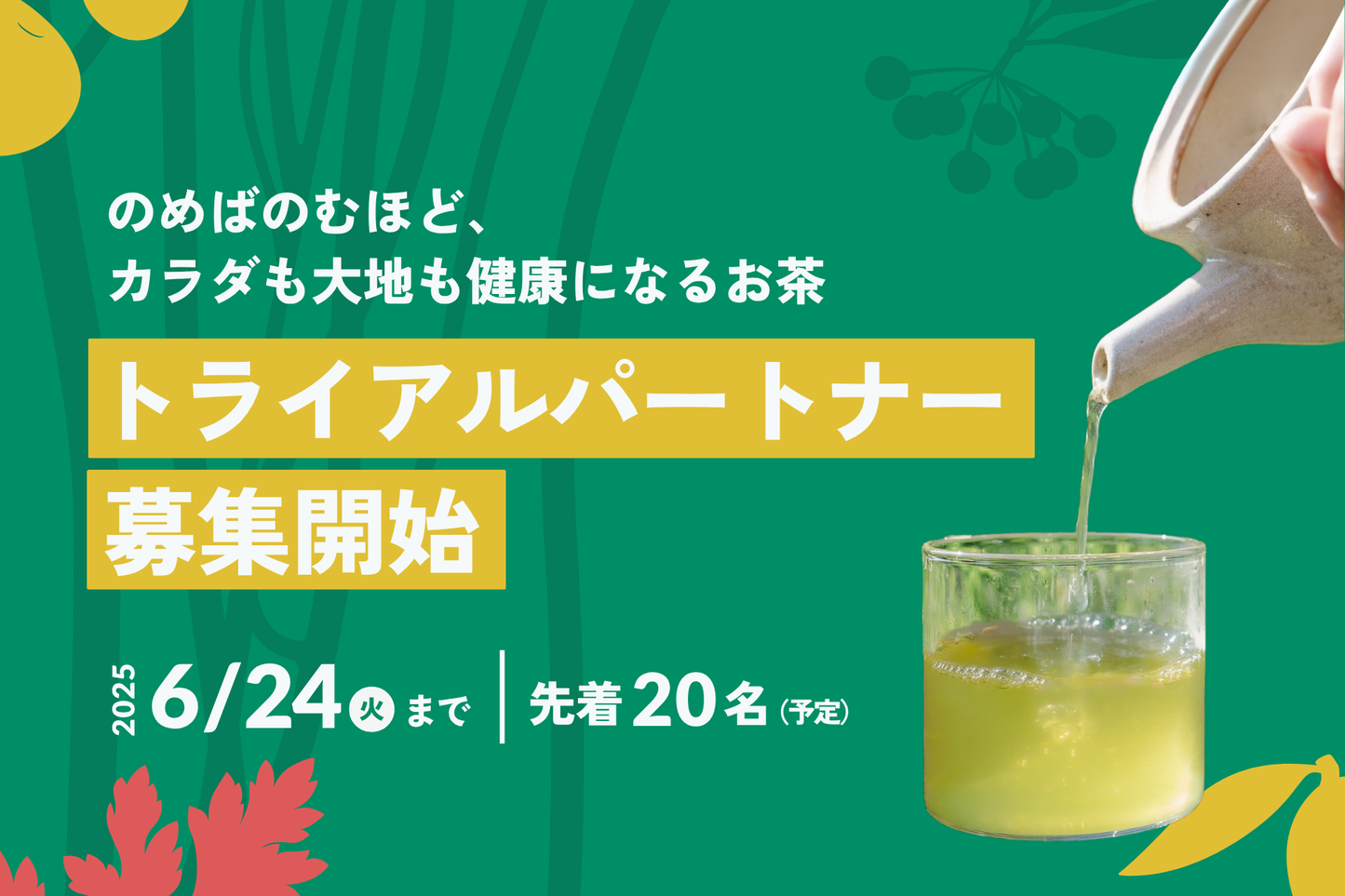 「SATOYAMER Regenerative Tea」のトライアルパートナー募集開始(終了しました)