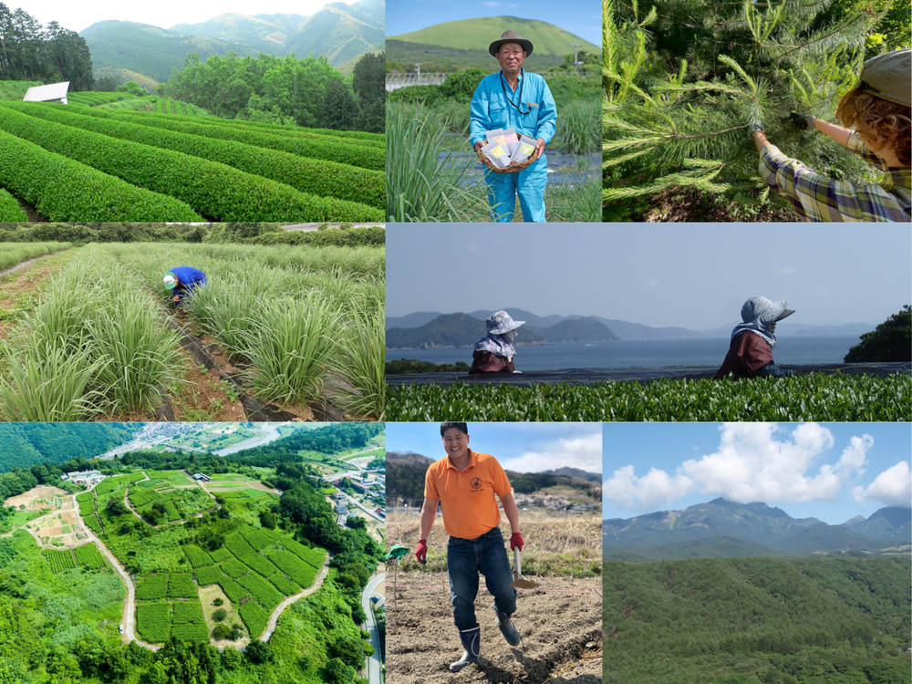 SATOYAMER FARM